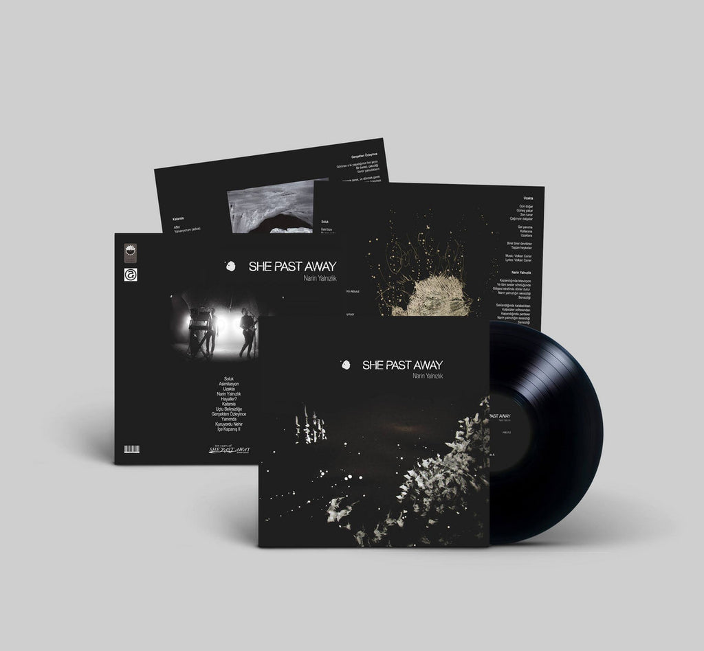 Narin Yalnızlık LP